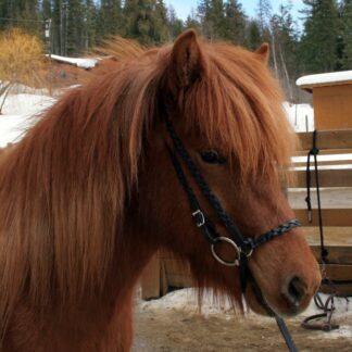 Tolt-Line Set 390 Braided Black - Set of 3 Pieces