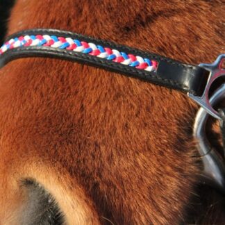 Bridles